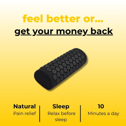 desialy™ Acupressure Neck Pillow